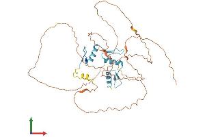AlphaFold protein structure predicition of Human Recombinant KLF12 Protein, UniprotID Q9Y4X4 (KLF12 Protein (AA 1-402) (His tag))