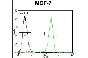 OTOP3 Antibody (C-term) (ABIN655855 and ABIN2845262) flow cytometric analysis of MCF-7 cells (right histogram) compared to a negative control (left histogram). (OTOP3 antibody  (C-Term))