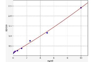 Typical standard curve (DKK3 ELISA Kit)