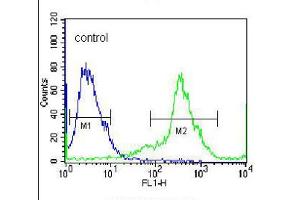 Flow cytometric analysis of 293 cells (right histogram), compared to a negative control cell (left histogram), was performed with KLK6 polyclonal antibody  and FITC-conjugated goat-anti-rabbit secondary antibody. (Kallikrein 6 antibody  (Internal Region))