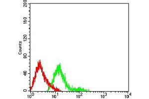 Flow cytometric analysis of HL-60 cells using CD174 mouse mAb (green) and negative control (red). (FUT3 antibody  (AA 199-361))