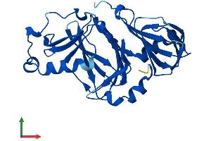 AlphaFold protein structure predicition of Human Recombinant HAAO Protein, UniprotID P46952 (HAAO Protein (AA 1-286) (His tag))