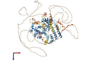 LATS, Large Tumor Suppressor, Homolog 2 (Drosophila) (LATS2) (AA 1-1042) protein (His tag)