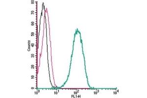 Cell surface detection of Thromboxane A2 Receptor by indirect flow cytometry in live intact human THP-1 monocytic leukemia cell line: (black line) Cells. (TBXA2R antibody  (Extracellular, N-Term))