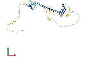 AlphaFold protein structure predicition of Human Recombinant E2F5 Protein, UniprotID Q15329 (E2F5 Protein (E2F5) (AA 1-346) (His tag))