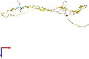 AlphaFold protein structure predicition of Human Recombinant LINC00612 Protein, UniprotID Q8N6U2