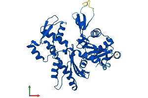 AlphaFold protein structure predicition of Human Recombinant ACTB Protein, UniprotID P60709 (beta Actin Protein (AA 1-375) (His tag))