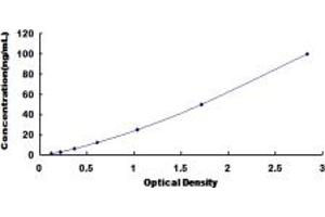 HDAC4 ELISA Kit