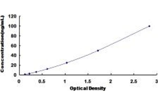 HDAC4 ELISA Kit