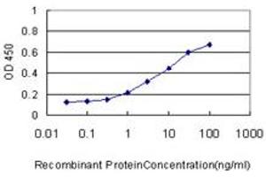 Detection limit for recombinant GST tagged RAB43 is approximately 0. (RAB43 antibody  (AA 113-210))