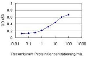 Detection limit for recombinant GST tagged RAB43 is approximately 0. (RAB43 antibody  (AA 113-210))