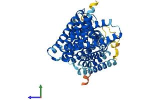 AlphaFold protein structure predicition of Human Recombinant MBOAT4 Protein, UniprotID Q96T53