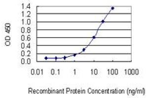 ELISA image for anti-CD27 Molecule (CD27) (AA 1-260) antibody (ABIN560236)