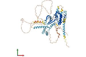 AlphaFold protein structure predicition of Human Recombinant EIF2AK1 Protein, UniprotID Q9BQI3