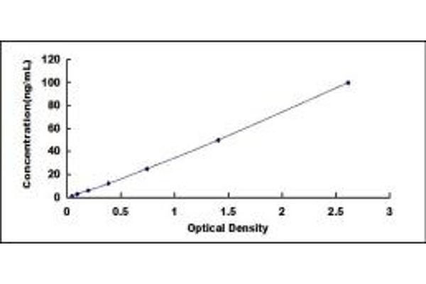 PDK1 ELISA Kit