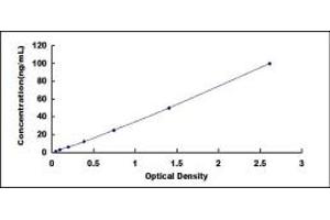 Typical standard curve (PDK1 ELISA Kit)