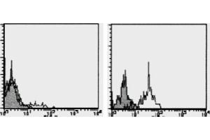 Flow Cytometry (FACS) image for anti-Chemokine (C-C Motif) Receptor 1 (CCR1) antibody (PE) (ABIN1105988) (CCR1 antibody  (PE))