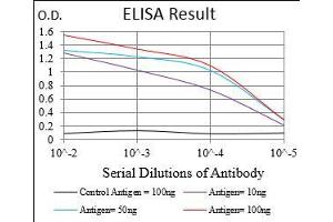 Fig. (DAPK3 antibody  (AA 28-161))