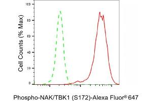 Flow cytometric analysis of Phospho-NAK/TBK1 (S172) expression in HepG2 cells using Phospho-NAK/TBK1 (S172) antibody (ABIN7800504), 1:2,000).