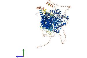 AlphaFold protein structure predicition of Mouse Recombinant Oga Protein, UniprotID Q9EQQ9 (MGEA5 Protein (AA 1-916) (His tag))
