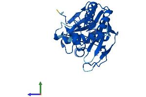 AlphaFold protein structure predicition of Mouse Recombinant Lactb2 Protein, UniprotID Q99KR3 (LACTB2 Protein (AA 1-288) (His tag))