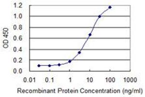Detection limit for recombinant GST tagged SULT1A3 is 0. (SULT1A3 antibody  (AA 1-295))