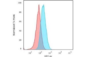 Flow Cytometric Analysis of Raji cells. (HLA DQ antibody)