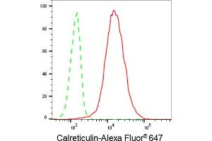 Flow cytometric analysis of Calreticulin expression in C2C12 cells using Calreticulin antibody (ABIN7797853), 1:2,000). (Recombinant Calreticulin antibody)