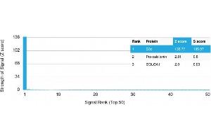 Analysis of Protein Array containing more than 19,000 full-length human proteins using Complement C3d Mouse Monoclonal Antibody (C3D/2891) Z- and S- Score: The Z-score represents the strength of a signal that a monoclonal antibody (Monoclonal Antibody) (in combination with a fluorescently-tagged anti-IgG secondary antibody) produces when binding to a particular protein on the HuProtTM array. (Complement 3d (C3d) (Acute Humoral Rejection Marker) antibody)