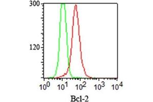 FACS staining (intracellular) of Jurkat cells using Bcl-2 antibody (clone 124, red) and isotype control antibody (green). (Bcl-2 antibody  (AA 41-54))