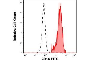 Separation of human CD16 positive CD3 negative lymphocytes (red-filled) from CD16 negative CD3 positive lymphocytes (black-dashed) in flow cytometry analysis (surface staining) of human peripheral whole blood stained using anti-human CD16 (3G8) FITC antibody (4 μL reagent / 100 μL of peripheral whole blood). (CD16 antibody  (FITC))