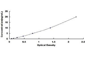 Typical standard curve (ATG7 ELISA Kit)