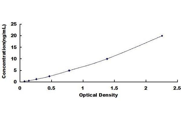 ATG7 ELISA Kit