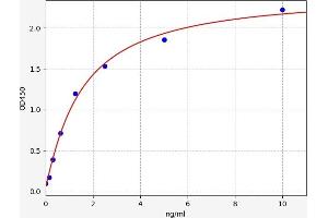 CD166 ELISA Kit