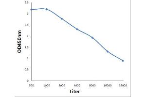 Antigen: 0. (PABP antibody  (meArg455, meArg460))