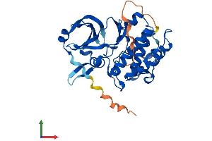Protein Structure (PS) image for Proto-Oncogene Pim-2 (Serine Threonine Kinase) (PIM2) (AA 1-311) protein (His tag) (ABIN7554967)