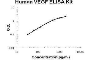 Human VEGF PicoKine ELISA Kit standard curve