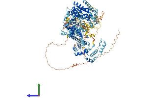 AlphaFold protein structure predicition of Human Recombinant SMARCA1 Protein, UniprotID P28370