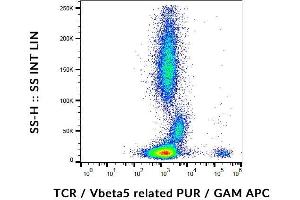 Flow cytometry analysis (surface staining) of human peripheral blood cells with anti-human TCR Vbeta5. (TCR beta (Vbeta5.3-Related) antibody)