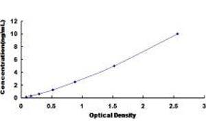 Typical standard curve (NPY5R ELISA Kit)