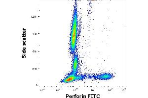 Flow cytometry intracellular staining pattern of human peripheral whole blood stained using anti-human Perforin (dG9) FITC antibody (4 μL reagent / 100 μL of peripheral whole blood). (Perforin 1 antibody  (FITC))