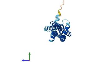 Protein Structure (PS) image for Transmembrane Protein 126A (TMEM126A) (AA 1-196) protein (His tag) (ABIN7561143)