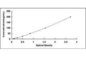 Typical standard curve (C3 ELISA Kit)