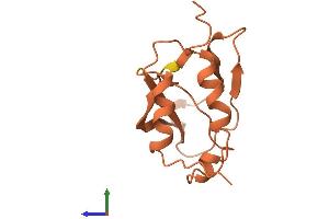 AlphaFold protein structure predicition of Human Recombinant LINC00518 Protein, UniprotID Q8N0U6 (C6orf218 Protein (AA 1-118) (His tag))