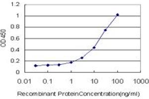 Detection limit for recombinant GST tagged ADCY2 is approximately 1ng/ml as a capture antibody. (ADCY2 antibody  (AA 977-1086))