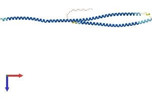 AlphaFold protein structure predicition of Human Recombinant CCDC121 Protein, UniprotID Q6ZUS5 (CCDC121 Protein (AA 1-278) (His tag))