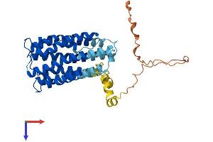 Transmembrane Protein 185B (TMEM185B) (AA 1-350) protein (His tag)