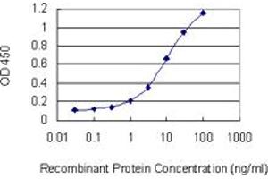 Detection limit for recombinant GST tagged AAMP is 0. (AAMP antibody  (AA 111-210))