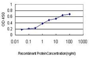 Detection limit for recombinant GST tagged NANS is approximately 0. (NANS antibody  (AA 260-359))
