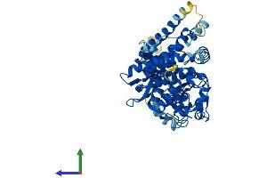 Protein Structure (PS) image for Cytochrome P450, Family 4, Subfamily Z, Polypeptide 1 (CYP4Z1) (AA 1-505) protein (His tag) (ABIN7546737)